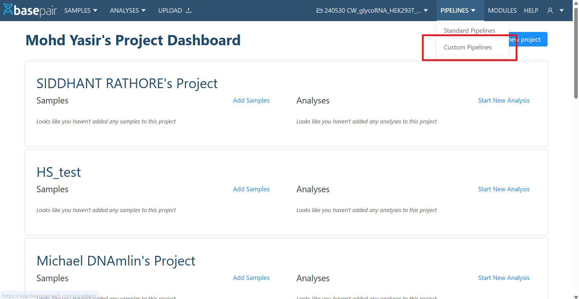 Custom Pipeline list page — menu and listing