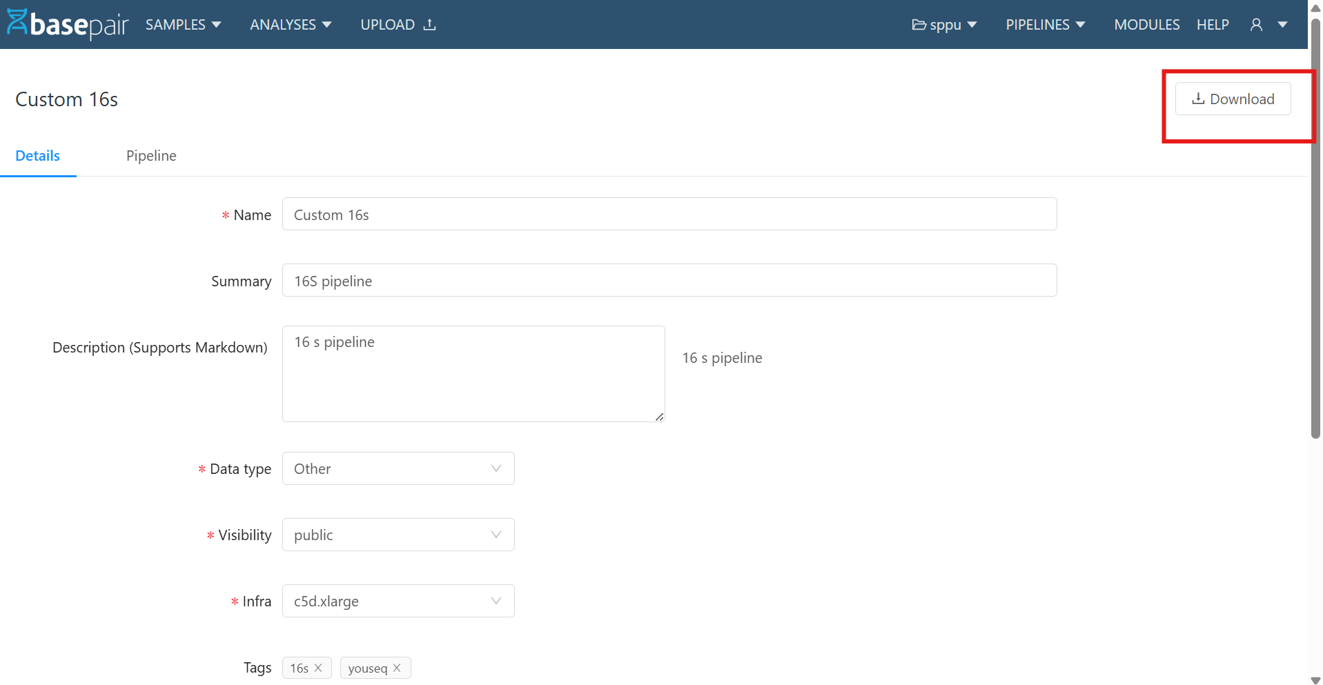 Download button — pipeline details